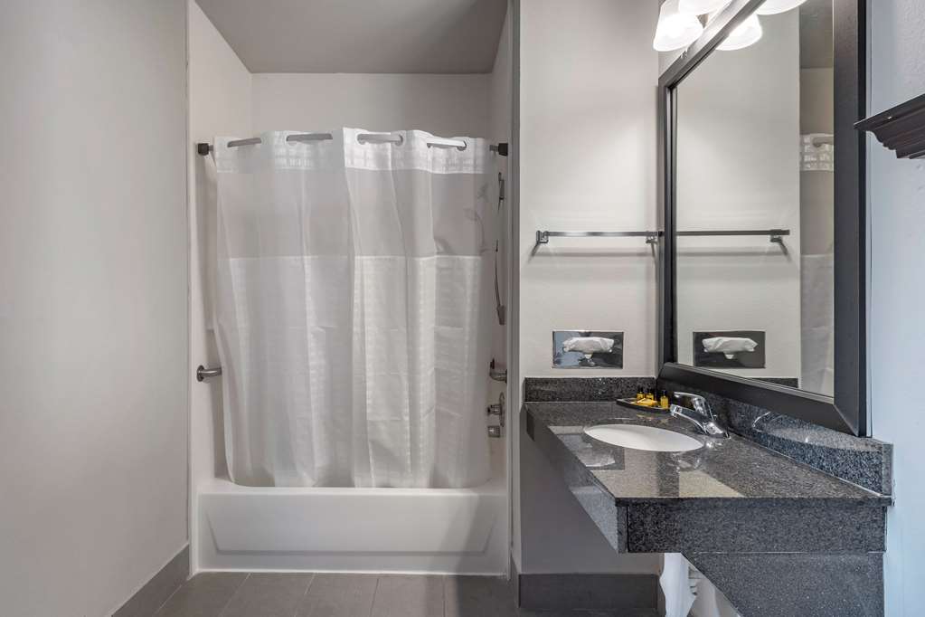 Best Western Plus Mckinney Inn & Suites - photo 30