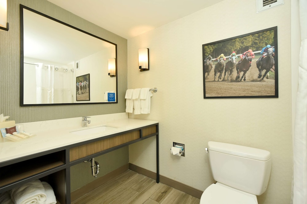 Hilton Garden Inn Saratoga Springs - photo 39