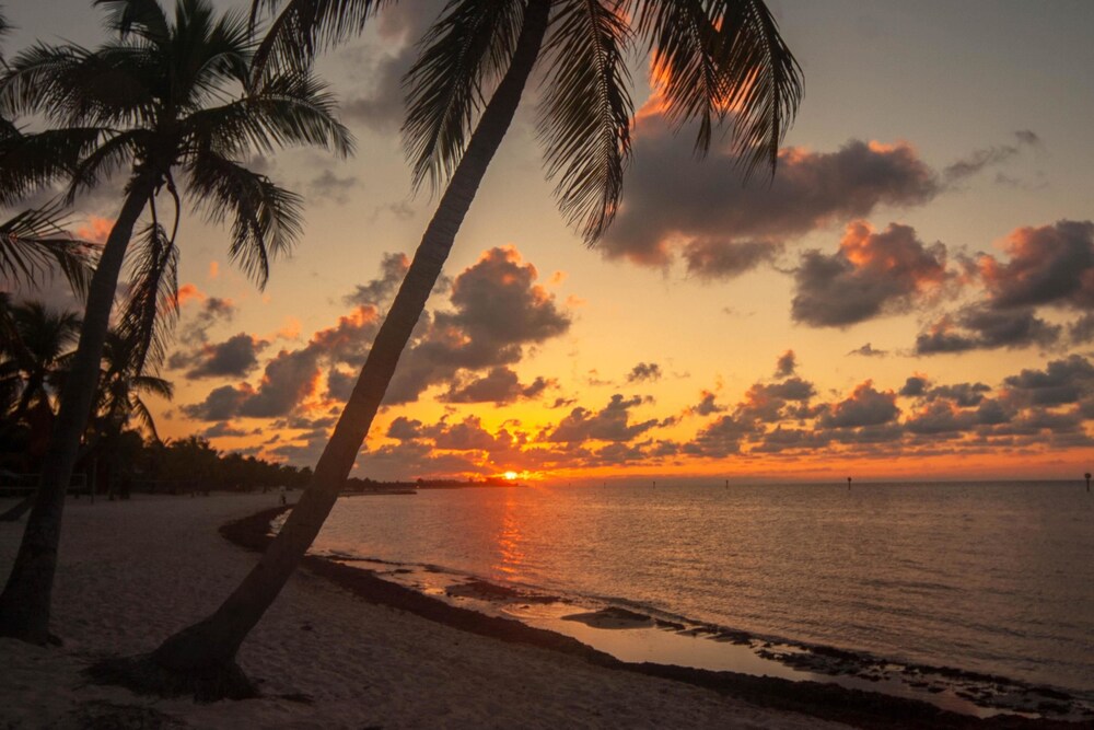 Coral Cove - last minute hotel in Key West