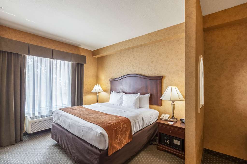 Comfort Suites Alamo Riverwalk - photo 13