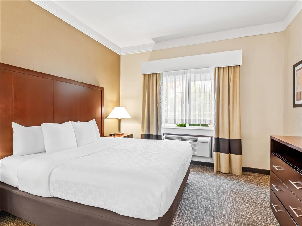 Comfort Suites Linn County - photo 36