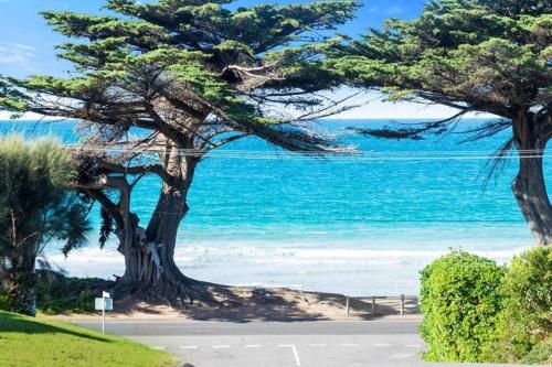 150 Steps Free Wi Fi in Apollo Bay, Australia