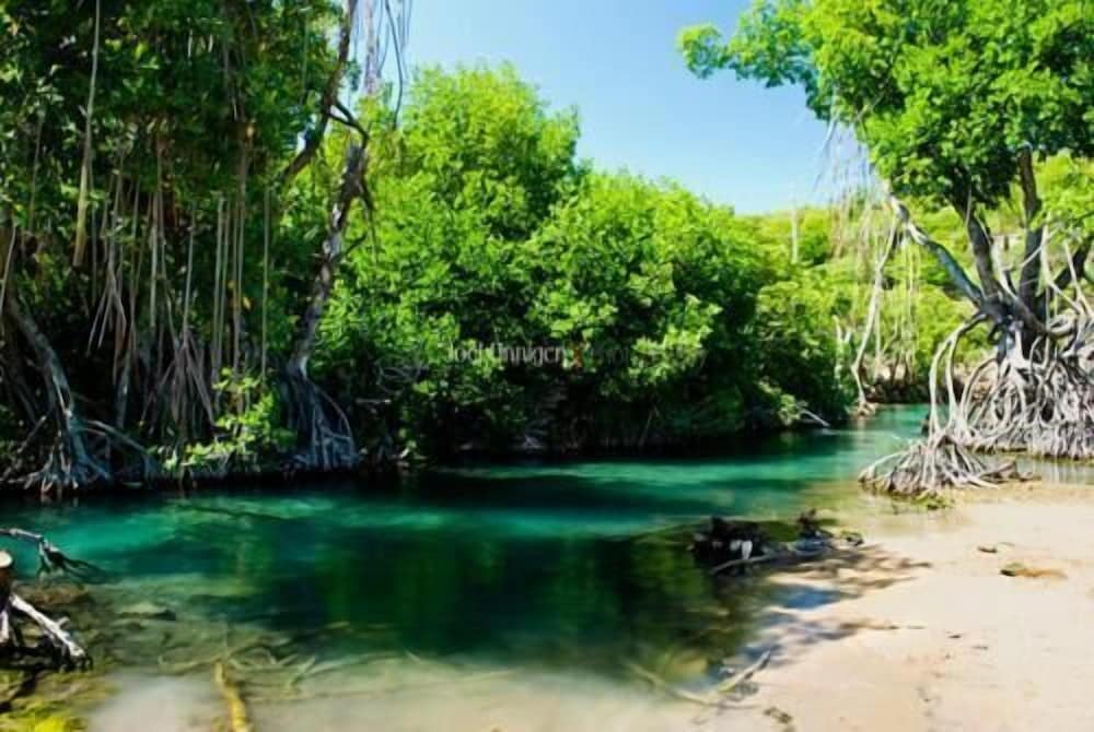 Diamonds in May Pen, Jamaica