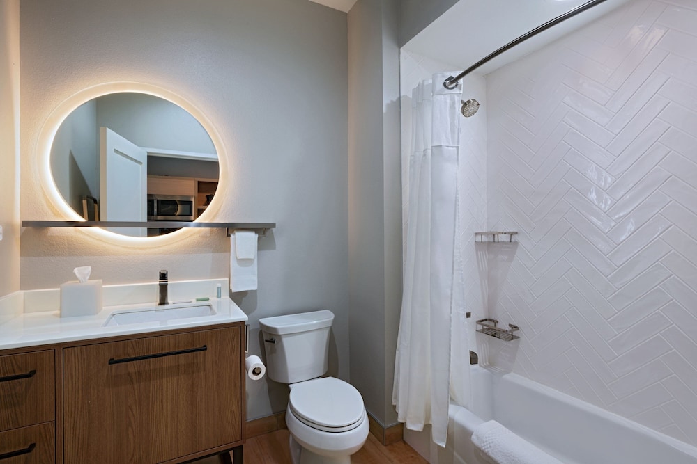 TownePlace Suites by Marriott Stafford Sugar Land - photo 15