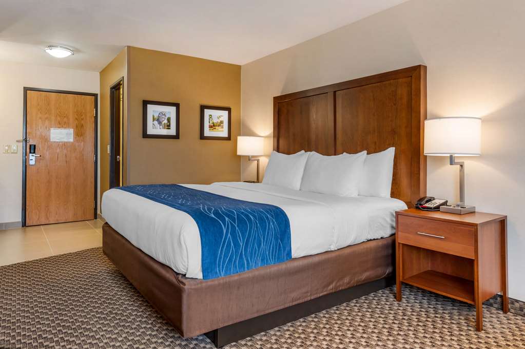 Comfort Inn & Suites Near Route 66 - photo 14