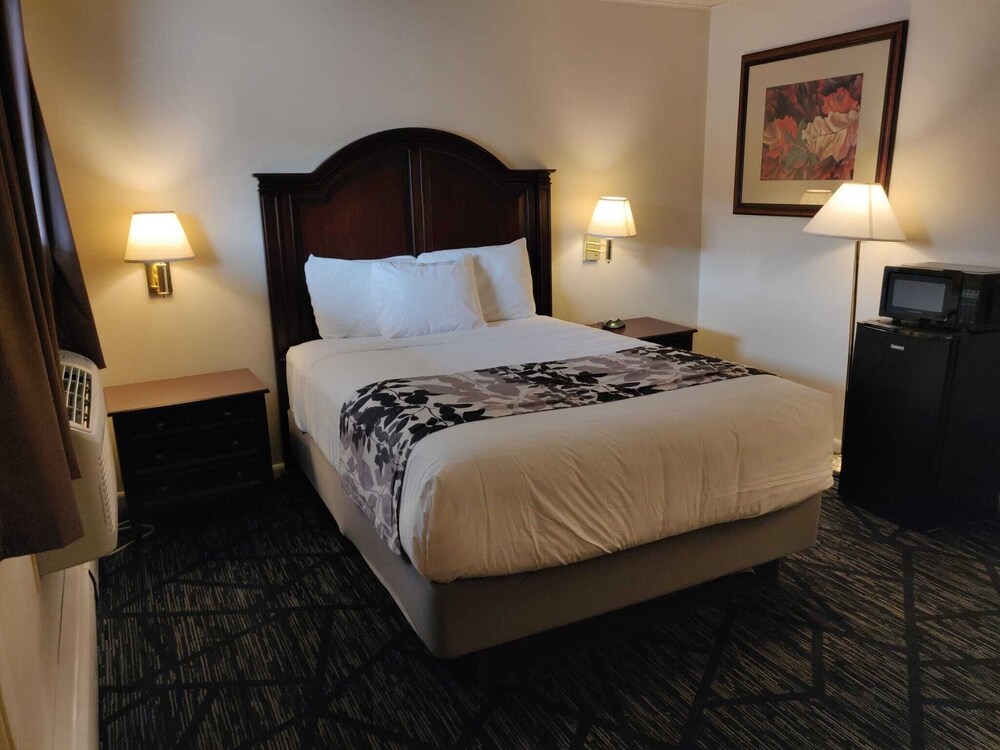 Skyline Motor Inn - photo 4
