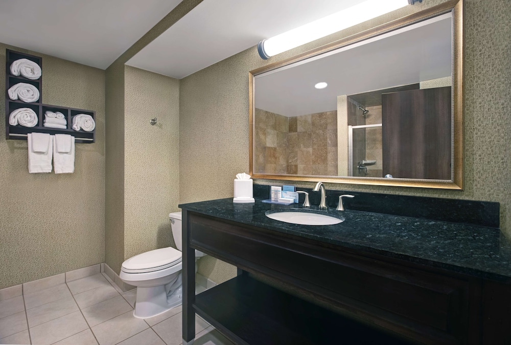 Hampton Inn Greenville I 385 Woodruff Rd. - photo 16