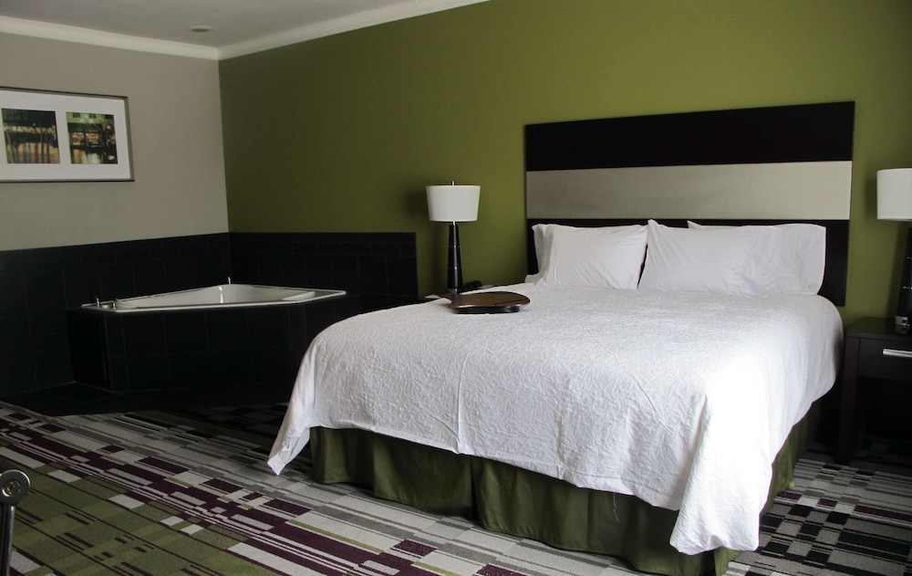 Hampton Inn by Hilton Leesville Fort Polk - photo 18