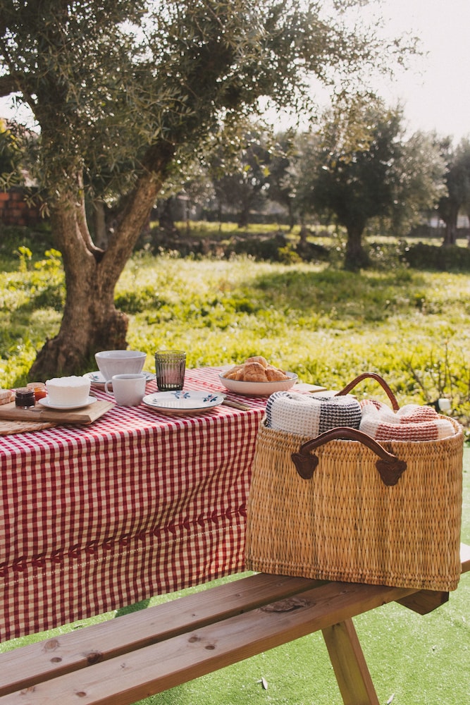 Chao Do Ribeirinho Castelo Branco — Fundao