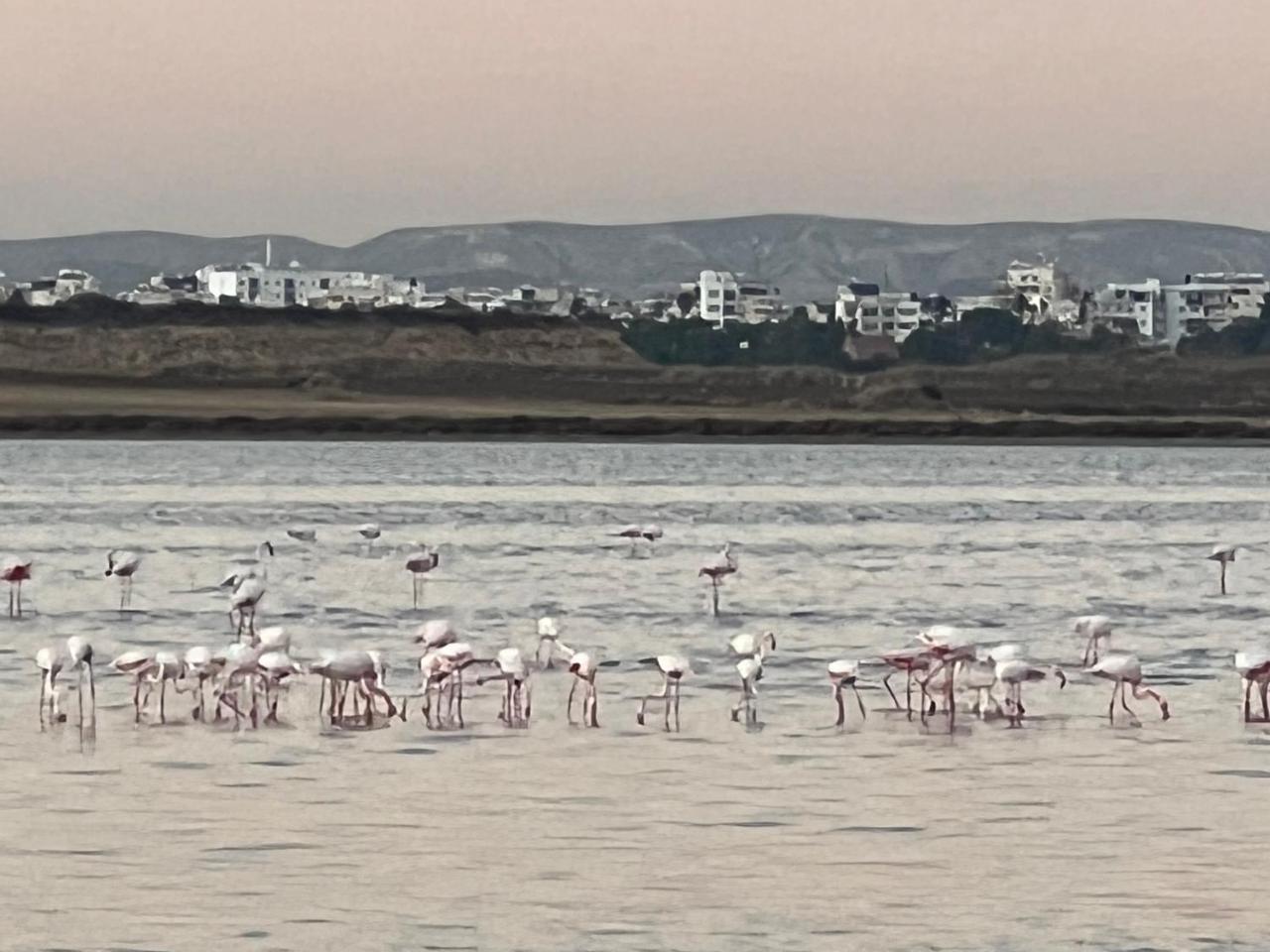 Salt Lake