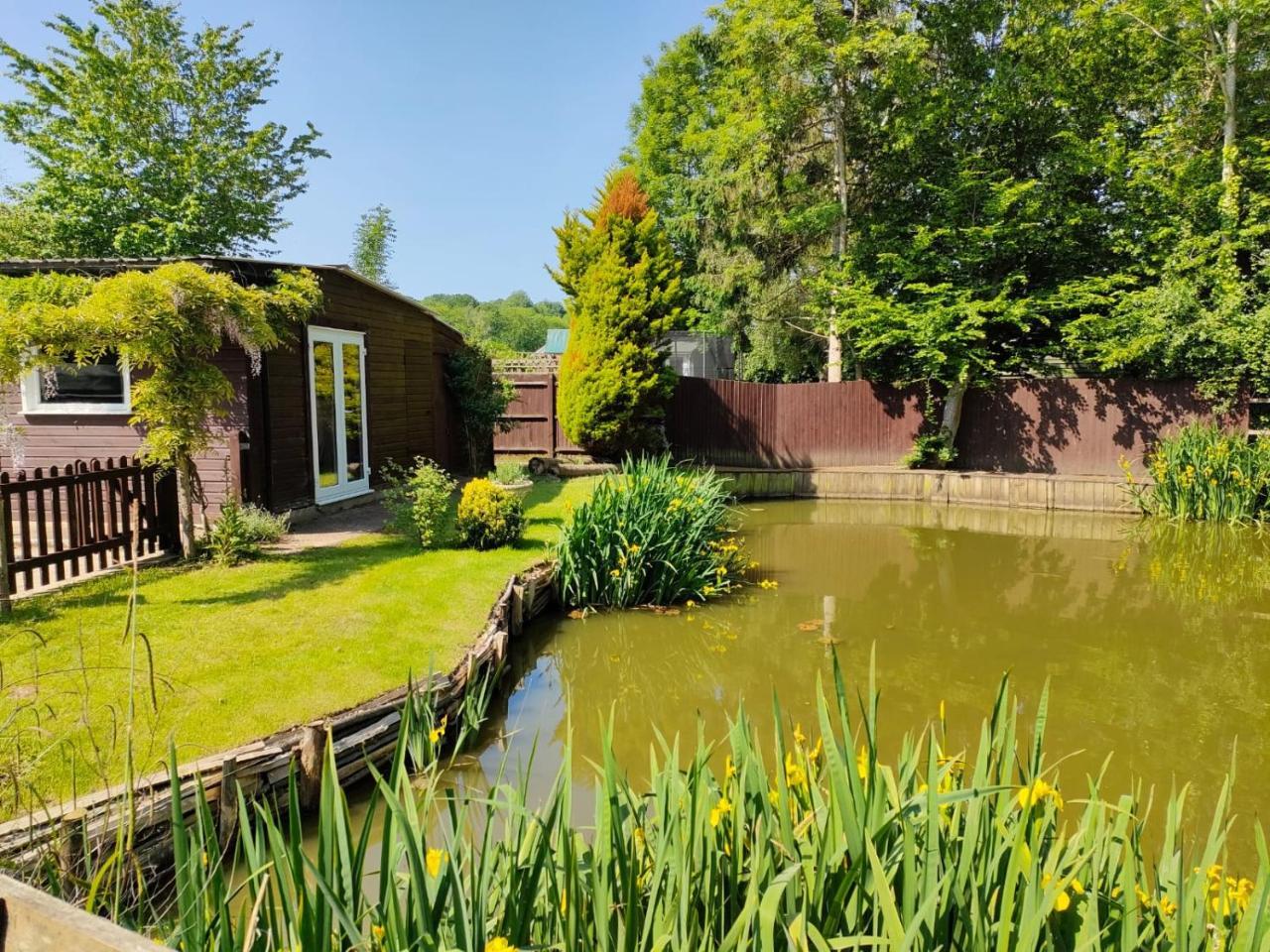 Woodies in Rye, United Kingdom