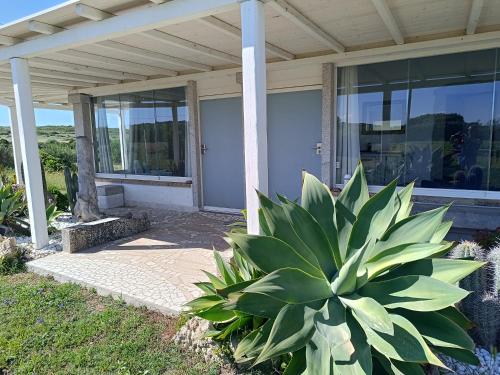 Bello Bello Rooms in Santa Teresa Gallura, Italy