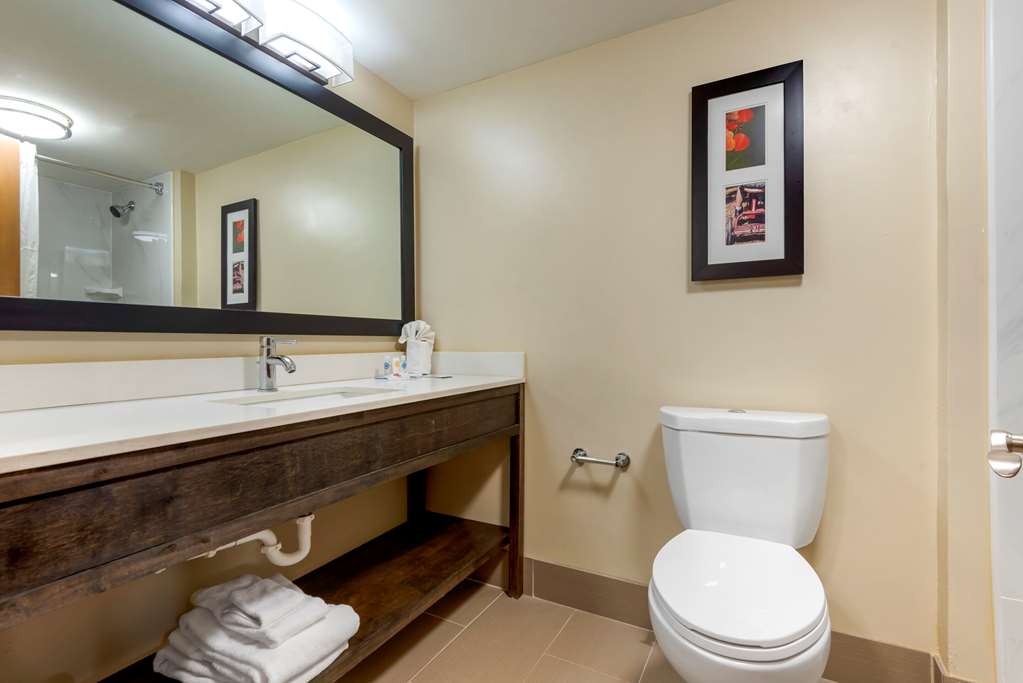 Comfort Inn Binghamton I 81 - photo 25