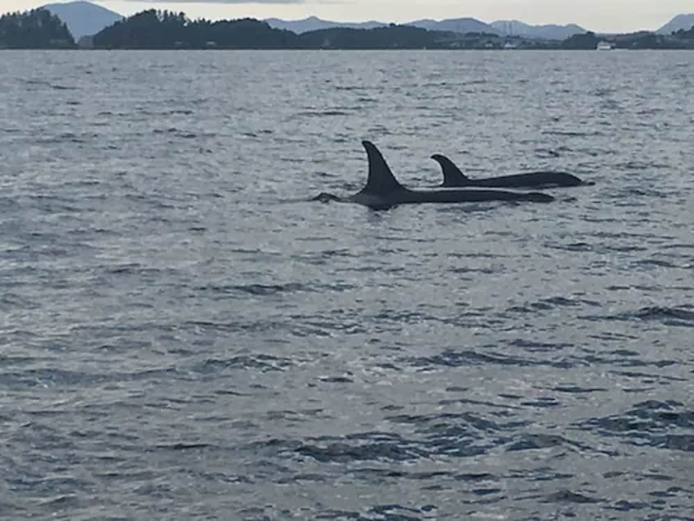 Sitka Hotel and Restaurant - photo 37