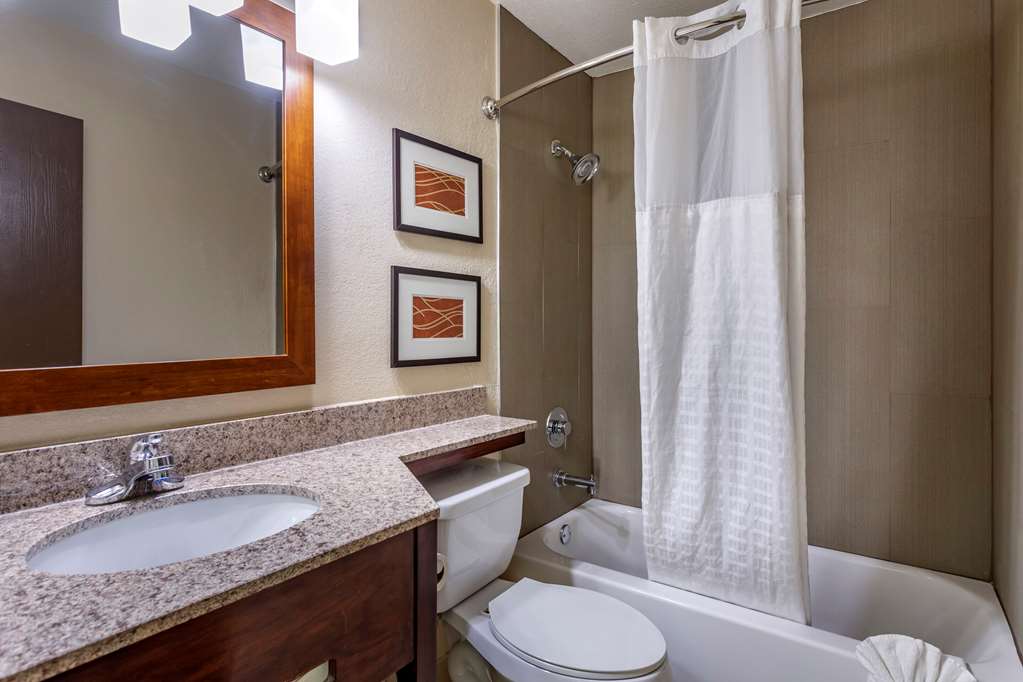 Comfort Inn Nashville West - photo 28