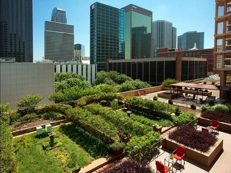 Fairmont Dallas - photo 171