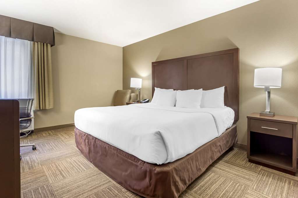 Comfort Inn & Suites Sea Tac Airport - photo 22
