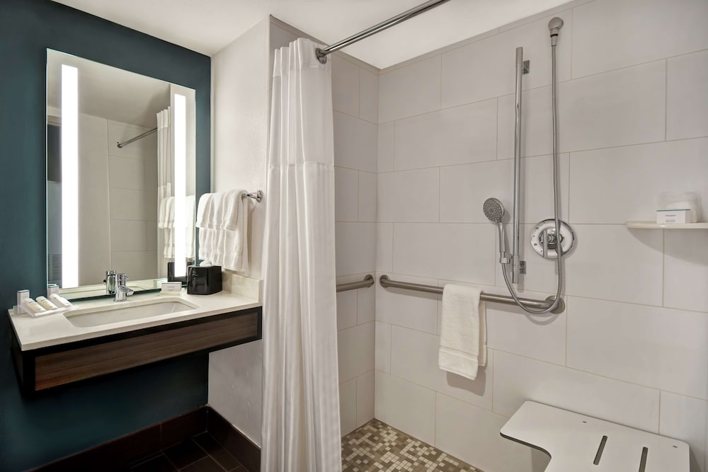 Hilton Garden Inn Houston Galleria Area - photo 23