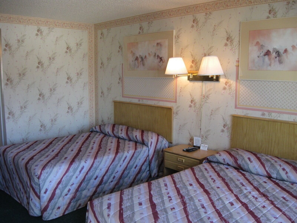 Motel 8 Willcox - photo 8
