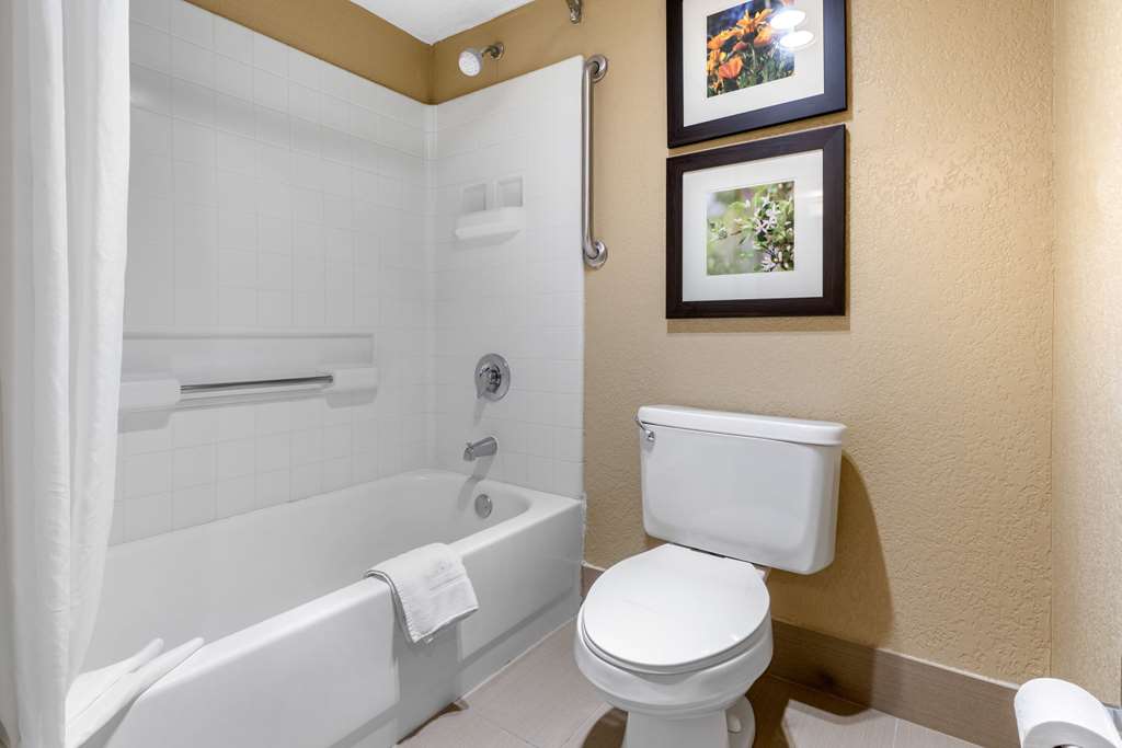 Comfort Inn Lathrop Stockton Airport - photo 26