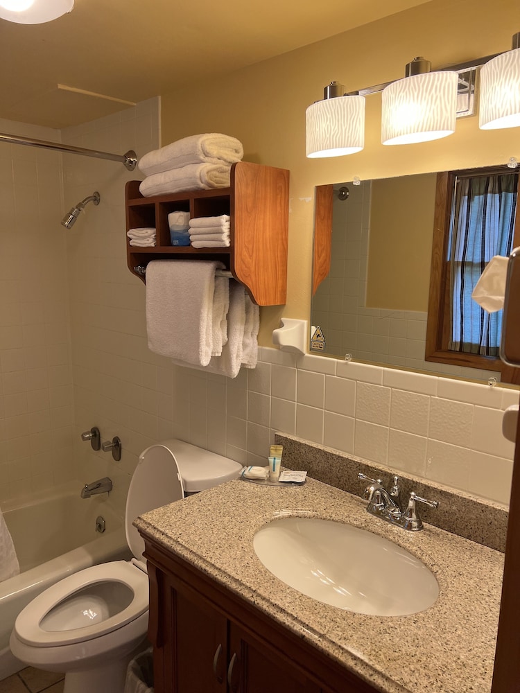 All Star Inn & Suites - photo 335