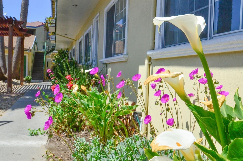 Bay Front Inn Santa Cruz - photo 30