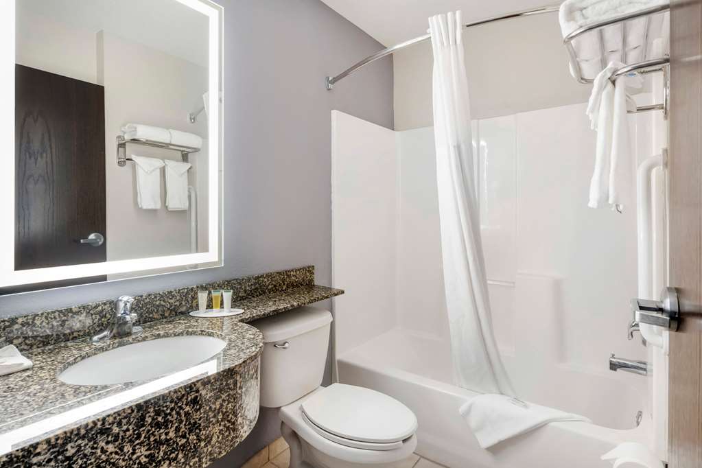 Microtel Inn & Suites by Wyndham Brooksville - photo 36