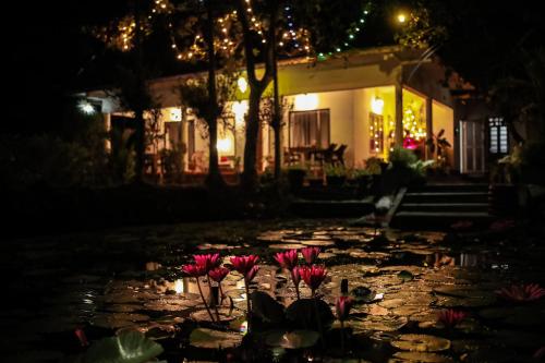 Marari Ebin Charlys - last minute hotel in Alleppey