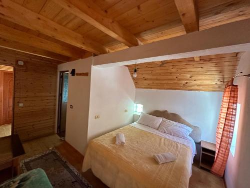 Room 6 in Unknown City, Albania