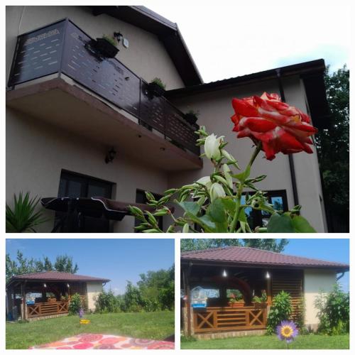 Piatra Rosie Pensiune Agroturistică — hotel in Niculitel