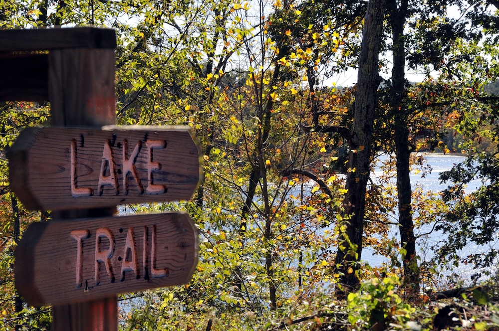 Pennyrile Forest State Resort Park - photo 45