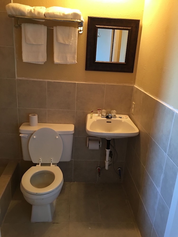 Reddy Inn and Suites - photo 29