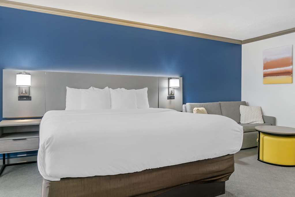 Comfort Inn Plainwell - photo 15