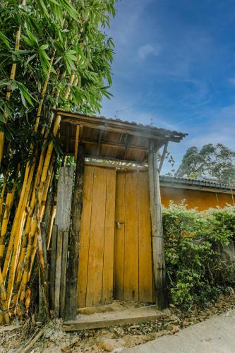The Diary — Ella Town — photo 2