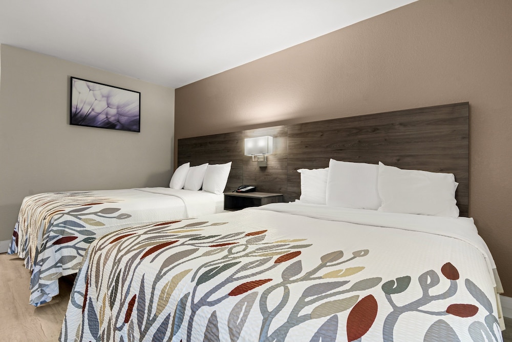 Red Roof Inn Washington NC - photo 15