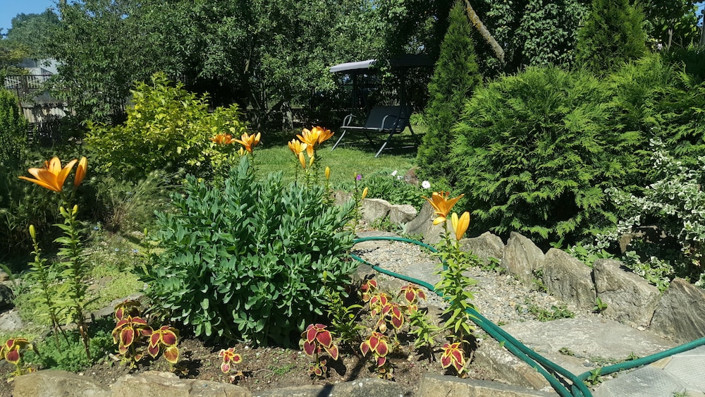 Flowering garden in Sukko, Russia