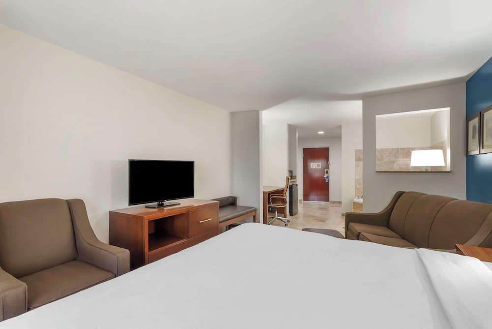 Comfort Suites Atlanta Airport - photo 15