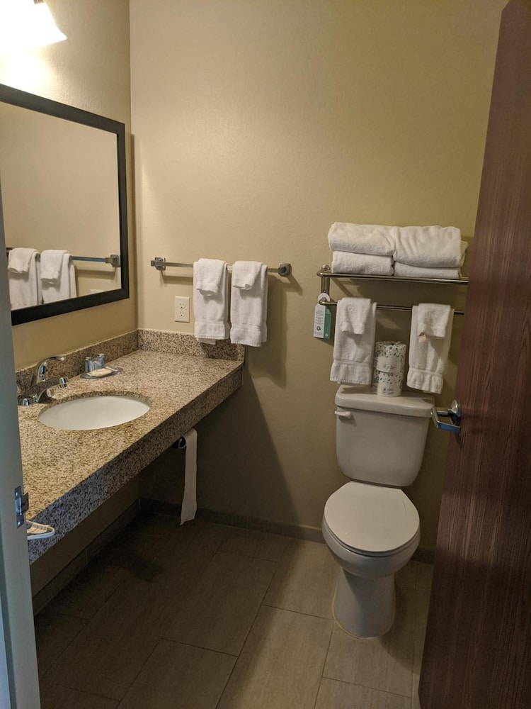 Cobblestone Inn and Suites Winterset - photo 8