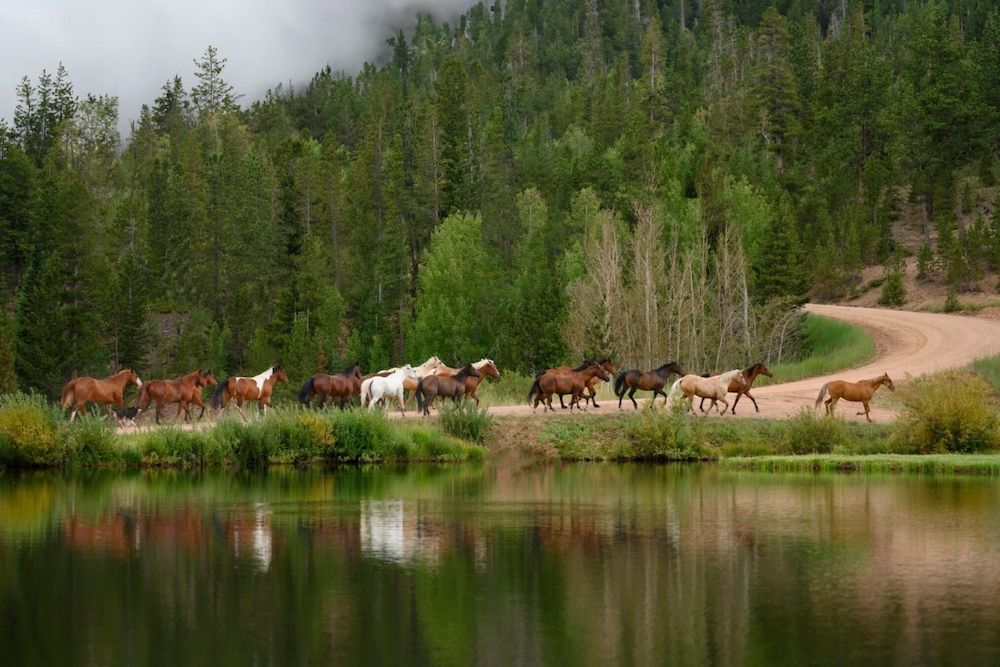Beaver Meadows Resort Ranch - photo 30
