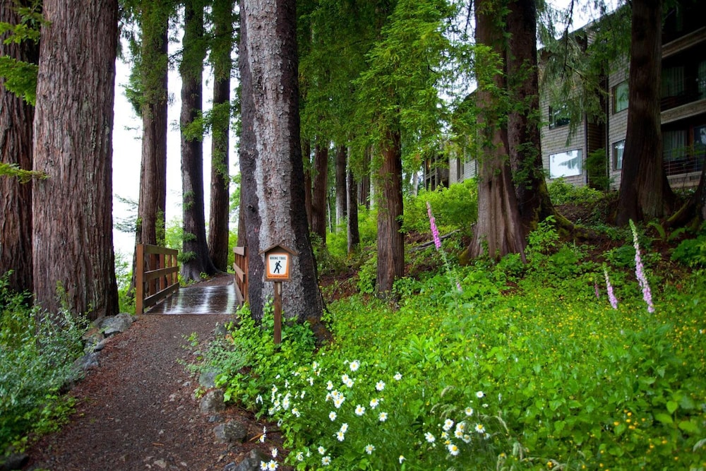 Lake Quinault Lodge - photo 66