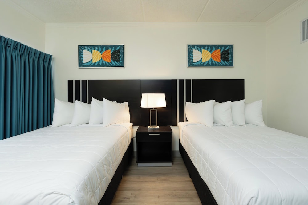 Karma Nest Tampa - photo 6