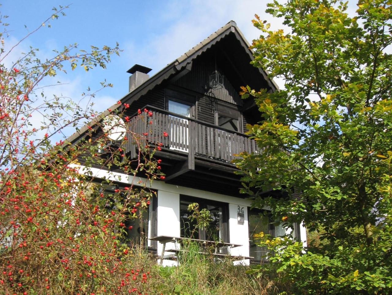 Frankenau 36 — hotel in Frankenau
