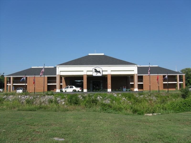 Dora Hall Very Central — Orange