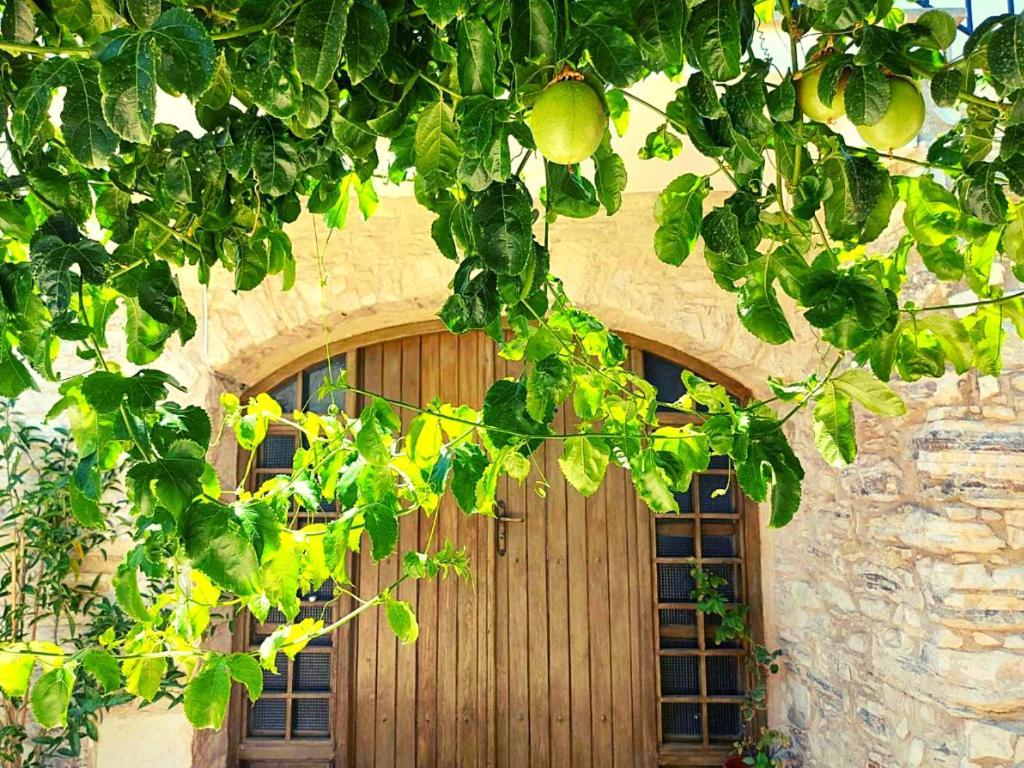Kalavasos Retreat in Traditional Village of Cyprus