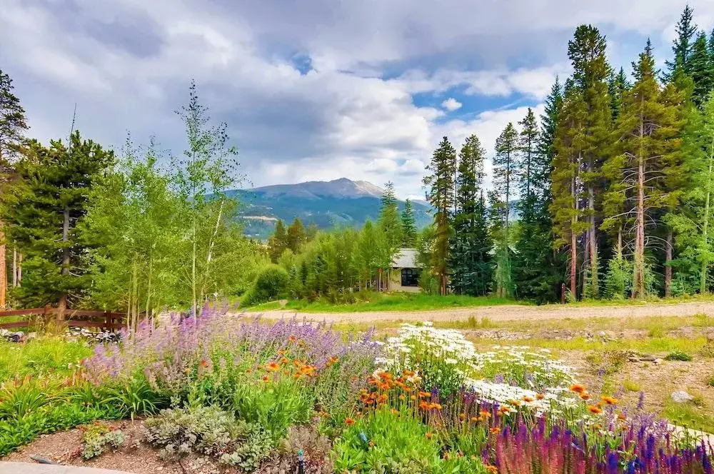 Chateau of Breckenridge - photo 6