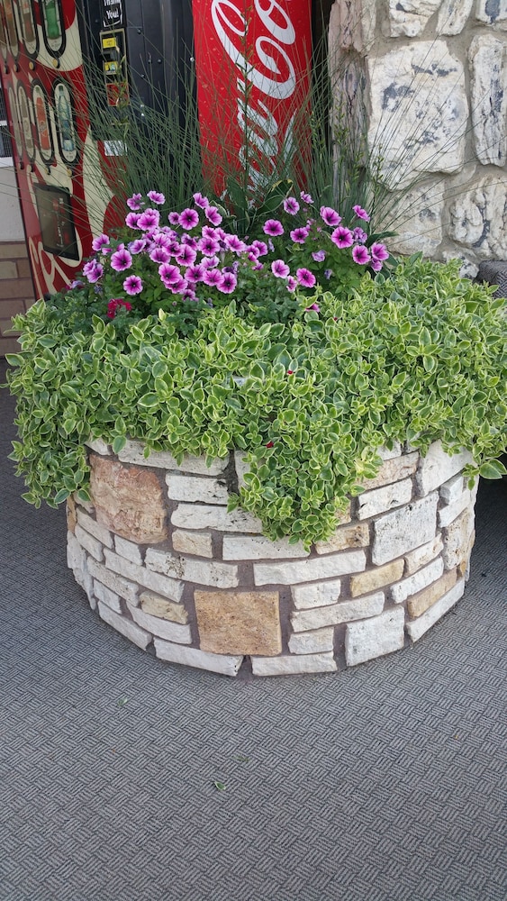 Siesta Motel - photo 12