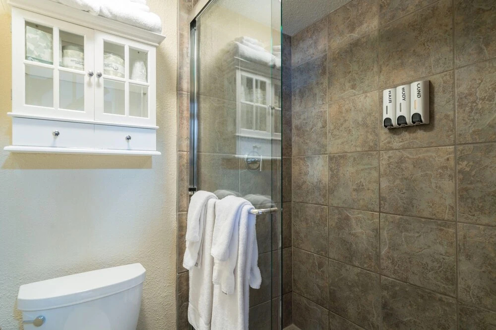 Manitou Lodge 11 Hotel Room by Alpine Lodging Telluride - photo 7
