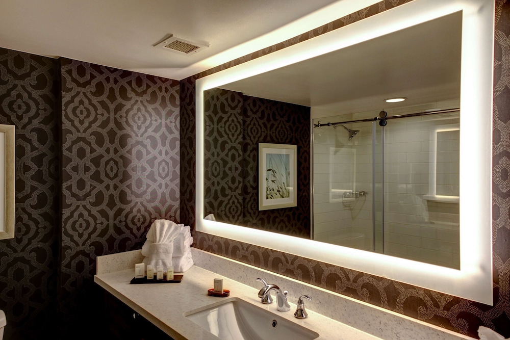 Embassy Suites Williamsburg - photo 18