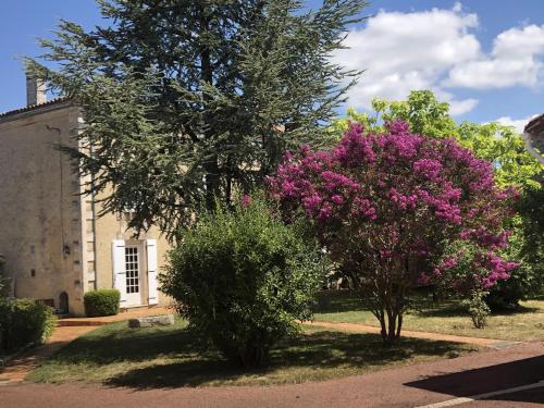 The Cool Lounge a Coulonges Charente — hotel in Coulonges-Sur-L'autize