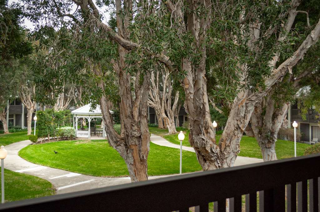 Carlsbad By The Sea Hotel - photo 12